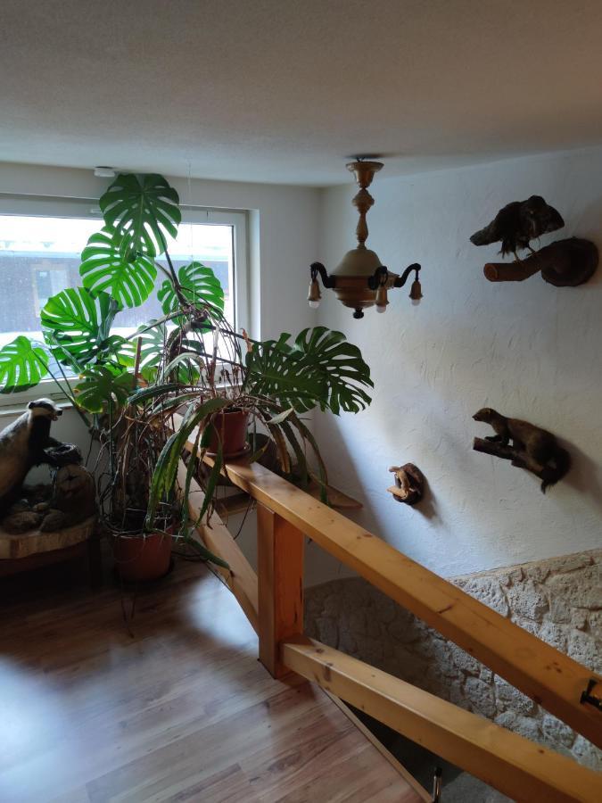 Mitten In Der Natur, Ganz Nah Bei Dresden. Bannewitz Kültér fotó